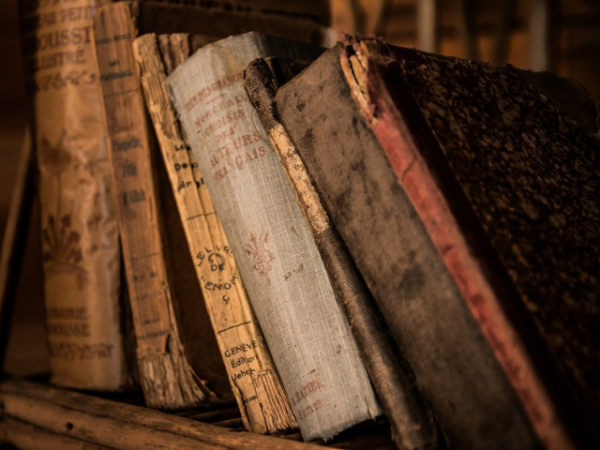If you could only read one of these books, which would you choose?