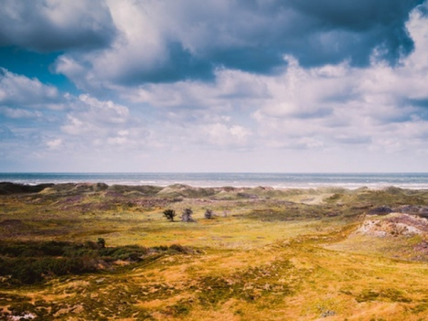 What type of terrain do you prefer?