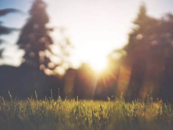 Do you like being around nature?