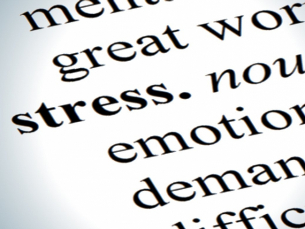 How aware are you at all times of the stresses your partner is facing?