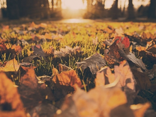 What is your favorite time of the year?