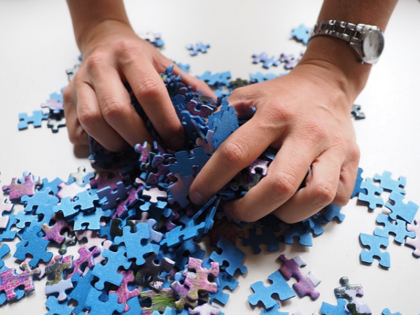 Which of these puzzles are your favorite?