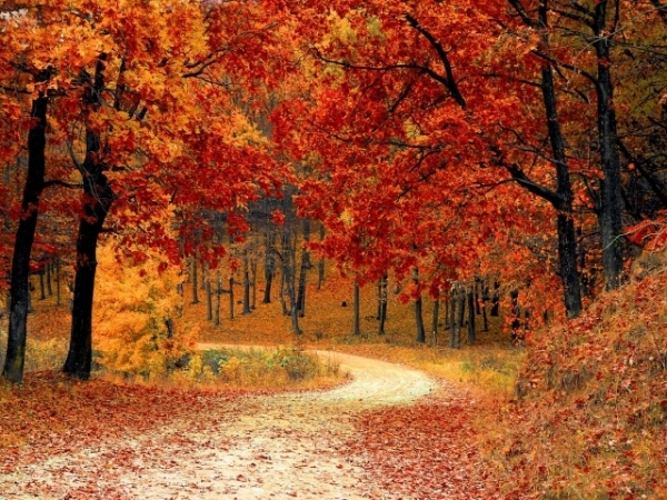 Pick the season that speaks the loudest to you: