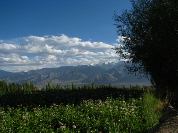 Are you a fan of the outdoors?