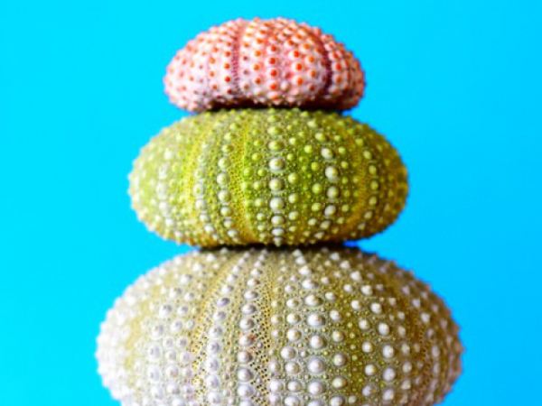 Pick a color that makes you feel RELAXED.