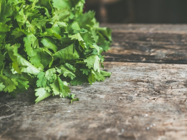 Choose an herb: