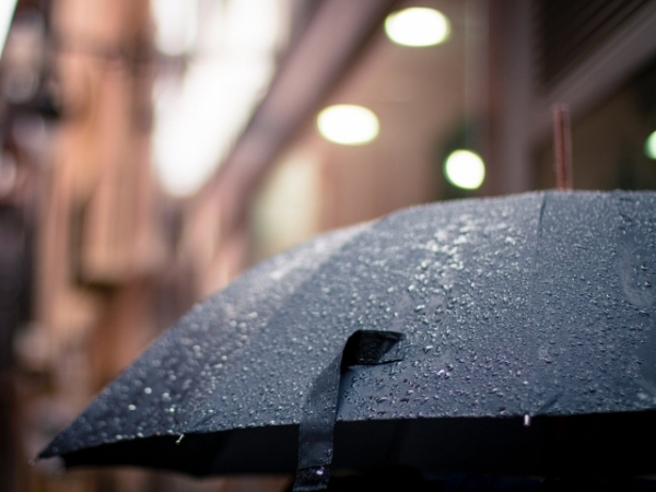 You're walking in the rain and a stranger pulls up to offer you a ride. What do you do?