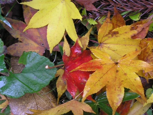 What's your favorite season?
