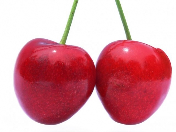What's your favorite fruit?