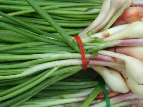Of the following, what is your favorite fruit or vegetable?