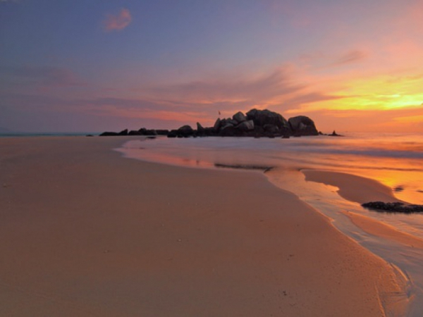Does being in nature recharge you?