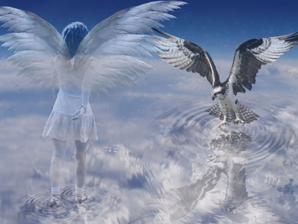 If you could guess how many times you've been reincarnated, how many would you say?