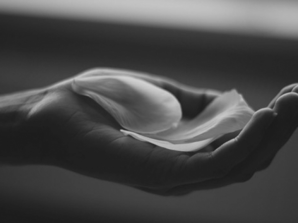 When was the last time you volunteered or gave to charity?