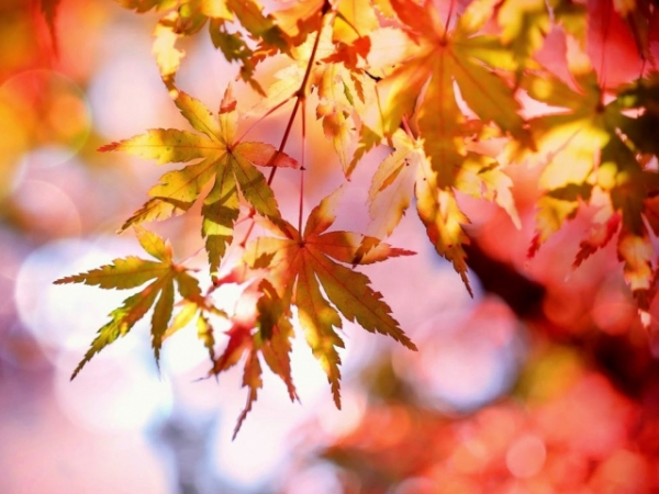 What's your favorite season?