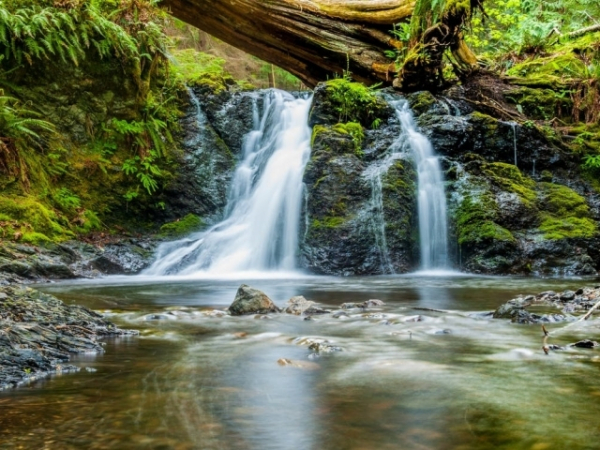 Which is a good option for procuring clean drinking water?