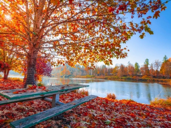 Do you feel more alive during the summer or the fall?