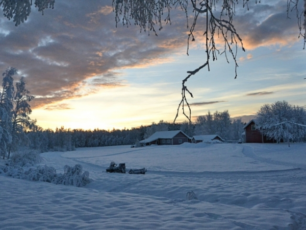 What's your favorite time of day?