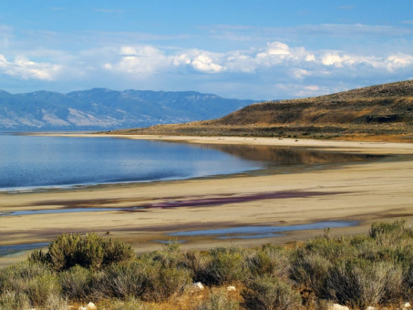 Would you drink salt water, if it was the only water available?