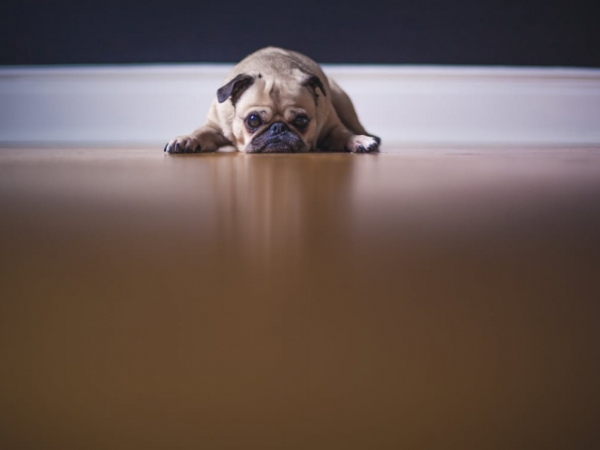 How did your parents typically punish you when in trouble?