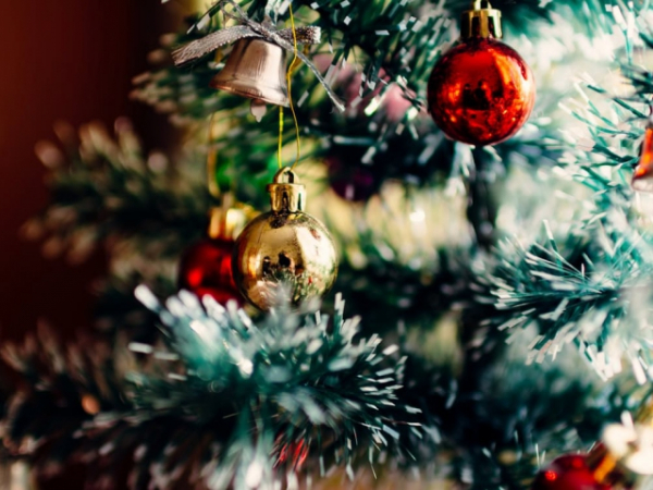 Who helps you put up the decorations?