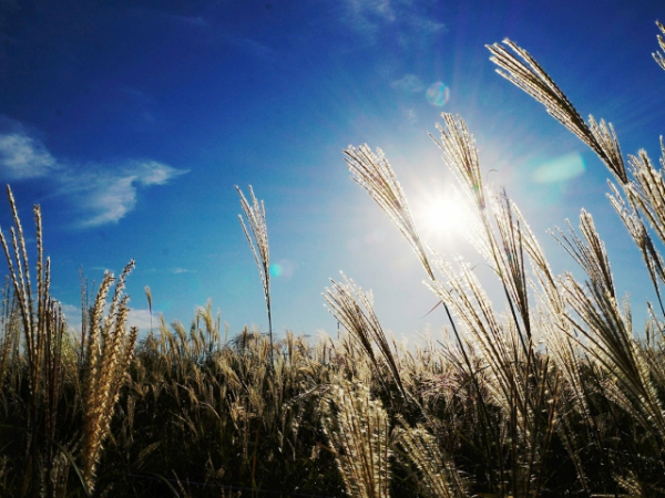 What is your favorite season?