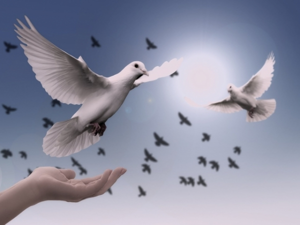 Do you believe there is one god or many gods?