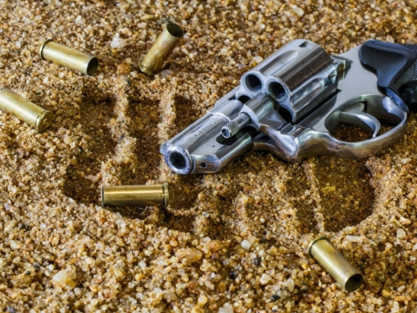 What are your thoughts on gun control?