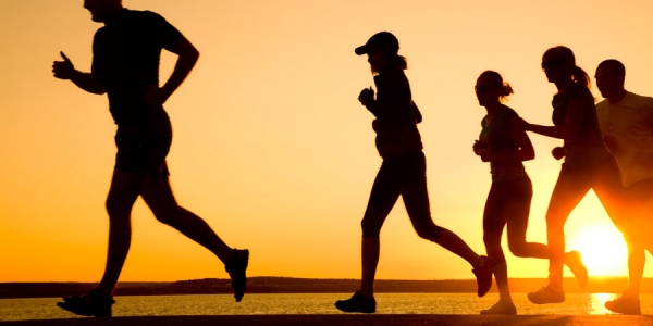 How often do you work out?