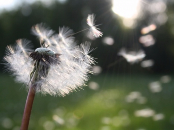 Were you born on a leap year?