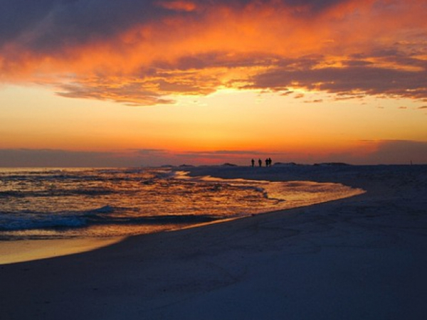 When I say FLORIDA, you think...