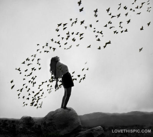 How much do you care about how others feel on a scale of one to ten? (1 being none, 10 being way too much)