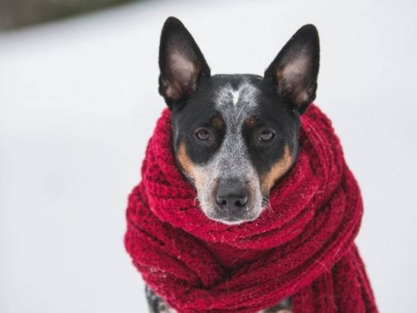 When you're chilly, there's nothing better than....