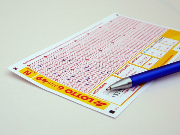 If you won the lotto, what is the first thing you would you do?