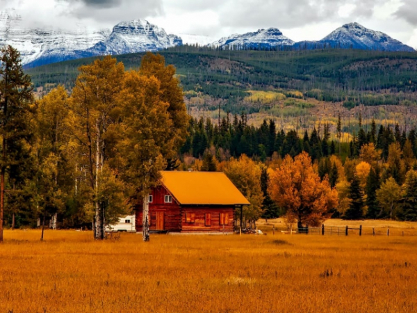 Which state would you most like to live in?