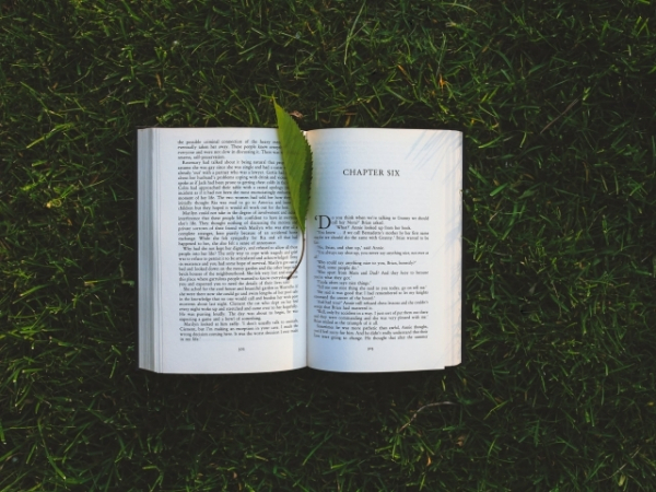 What do you most like to read about?