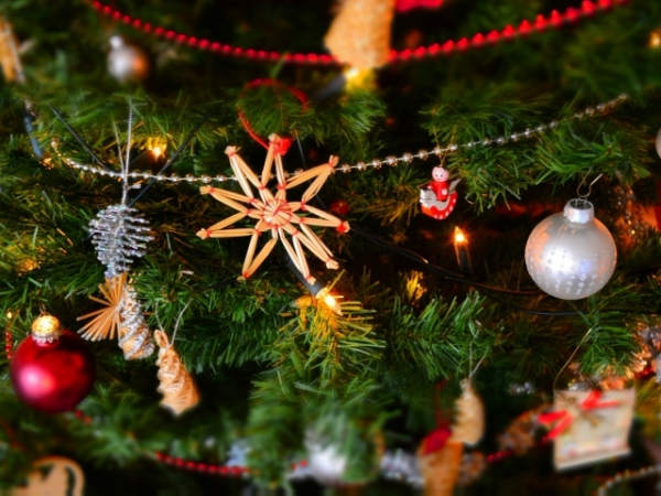 Who will you be spending Christmas with this year?