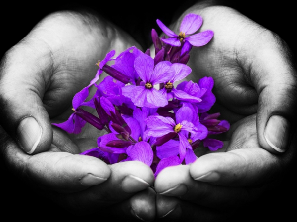 Do you think life is better lived in Black and White or Color?