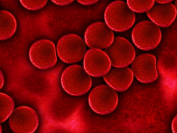 How well do you handle the sight of blood?