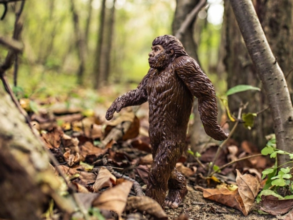 Do you believe in Bigfoot?
