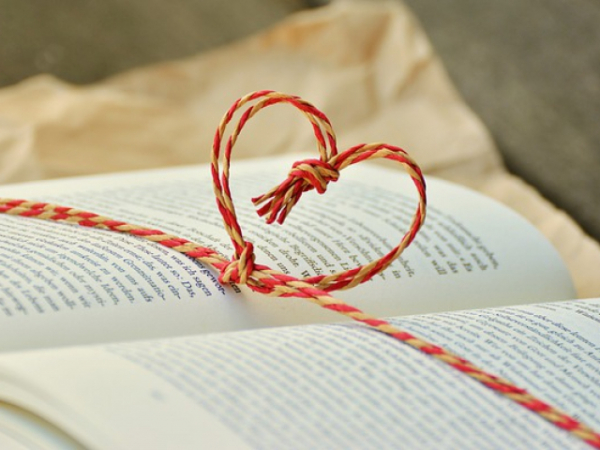 Which kind of book would you most like to read?