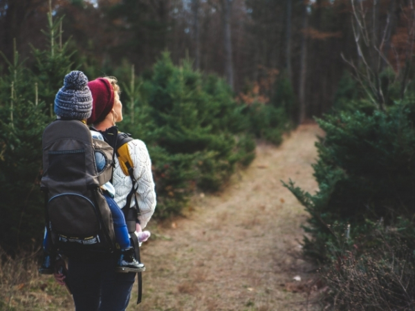 You're hiking with a friend and you realize your lost. What do you do?