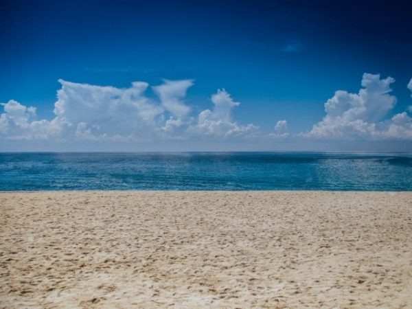 Where would you most like to take a vacation?