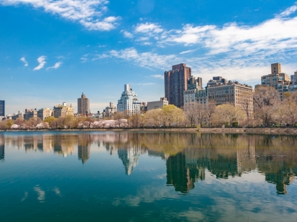 If you could move anywhere in the United States, where would you live?