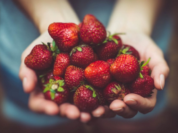 Do you prefer fruits or vegetables?