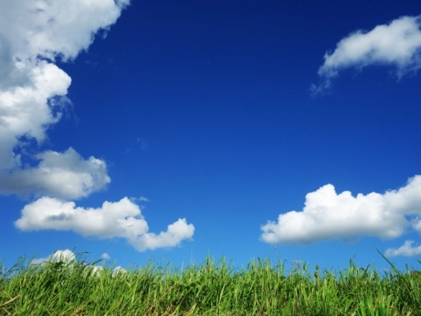 How often do you check the weather?