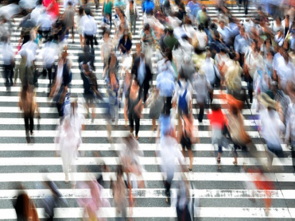If you saw an old lady crossing the road, would you help her?