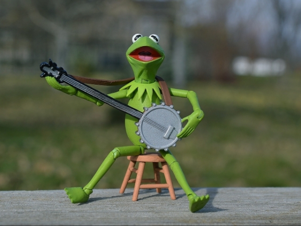 Which Muppet do you most identify with?