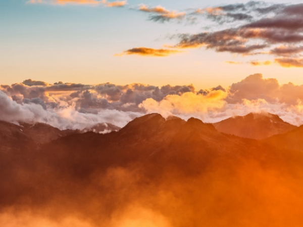 The colors in this photo evoke feelings of...