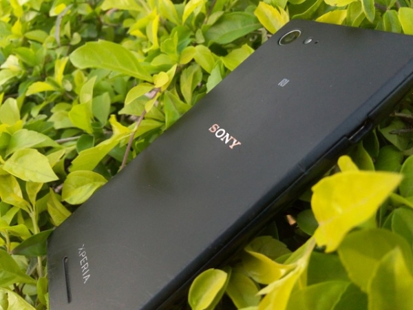 What would you do if you lost your cell phone?