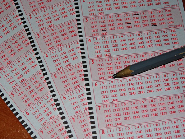 If you wont he lotto, what would you do?